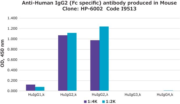 单克隆抗 人 IgG2（Fc 特异性） 小鼠抗 clone HP-6002, ascites fluid