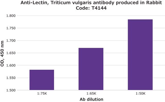 抗-凝集素，麦胚 兔抗 fractionated antiserum, lyophilized powder