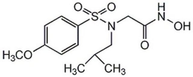 MMP-3-Inhibitor&nbsp;II The MMP-3 Inhibitor II, also referenced under CAS 161314-17-6, controls the biological activity of MMP-3. This small molecule/inhibitor is primarily used for Protease Inhibitors applications.