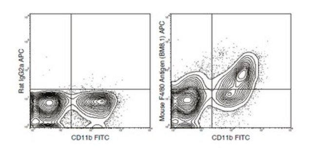 Przeciwciało anty-F4/80 (mysz), APC, klon BM8.1 clone BM8.1, from rat, Allophycocyanin conjugate