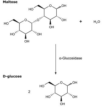 &#945;-葡萄糖苷酶 来源于大米 Type V, ammonium sulfate suspension, 40-80&#160;units/mg protein