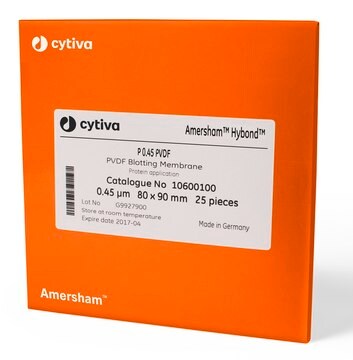 Amersham&#8482; Hybond&#174; P Western blotting membrane sandwich, PVDF pore size 0.2&#160;&#956;m, sheet W × L 80&#160;mm × 90&#160;mm , preassembled with 2 x 3MM chr filter papers, pkg of 10&#160;ea