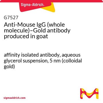 Anti-Mouse IgG (whole molecule)–Gold antibody produced in goat affinity isolated antibody, aqueous glycerol suspension, 5&#160;nm (colloidal gold)