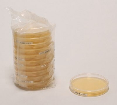 Tryptic Soy Agar - Ready-to-use Settle Plates EP, USP, Settle Plate for long Incubation, aseptically filled, plate diam. 90&#160;mm, suitable for air monitoring