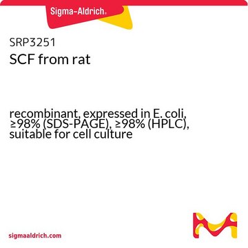 SCF ラット由来 recombinant, expressed in E. coli, &#8805;98% (SDS-PAGE), &#8805;98% (HPLC), suitable for cell culture