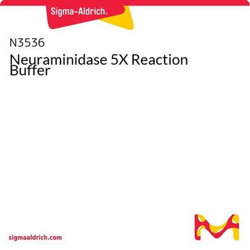 Bufor reakcyjny neuraminidazy 5X