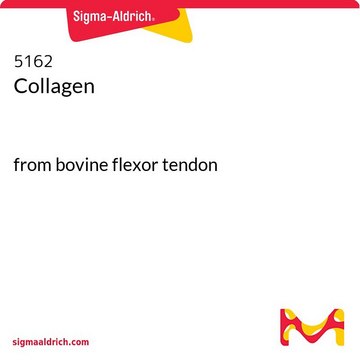 Collagen from bovine flexor tendon