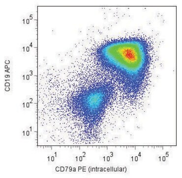 Monoclonal Anti-CD79A-PE antibody produced in mouse clone HM57, purified immunoglobulin, buffered aqueous solution