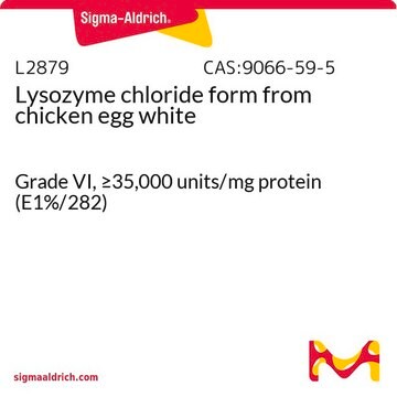 Lysozyme 氯化物形式 来源于鸡蛋白 Grade VI, &#8805;35,000&#160;units/mg protein (E1%/282)