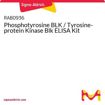 Phosphotyrosine BLK / Tyrosine-protein Kinase Blk ELISA Kit