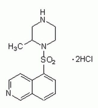 H-7, Dihydrochloride - CAS 108930-17-2 - Calbiochem A broad-based, cell-permeable, reversible, ATP-competitive serine/threonine kinase inhibitor.