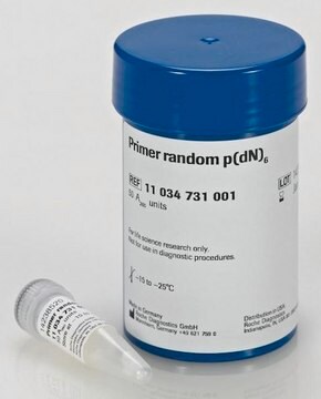 Primer „random“ lyophilized, sufficient for &#8804;400&#160;reactions, pkg of 2&#160;mg (Primer, Random pd(N)6 Potassium Salt)