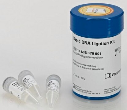 Rapid DNA Ligation-Kit