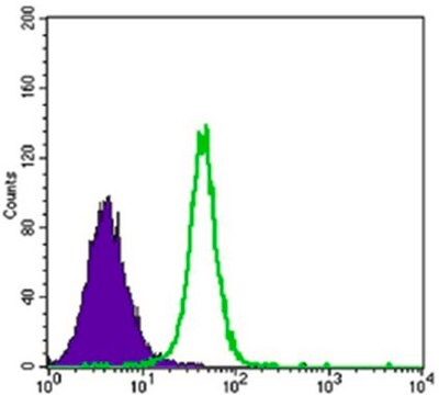 Anti-HK2 Antibody, clone 3D3 ascites fluid, clone 3D3, from mouse