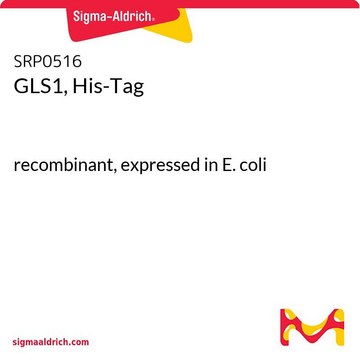 GLS1, His-Tag recombinant, expressed in E. coli