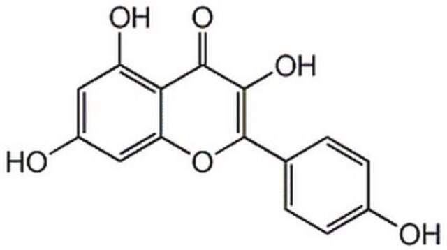 Kaempferol A cell-permeable phytoestrogen that inhibits topoisomerase I-catalyzed DNA religation in HL-60 cells.