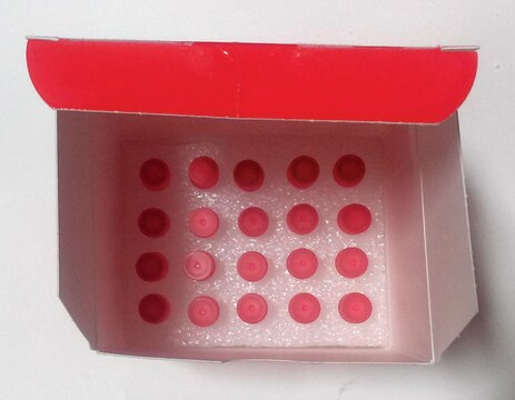 SIG10 ULTRA Electrocompetent Cells for BAC &amp; cosmid cloning