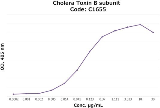 Choleratoxin-B-Untereinheit FITC conjugate, lyophilized powder