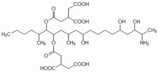 Fumonisin&nbsp;B1, Fusarium moniliforme A cell-permeable mycotoxin that inhibits sphingolipid biosynthesis in rat kidney and in liver microsomes by inhibition of sphingosine N-acyltransferase (ceramide synthase; IC&#8325;&#8320; = 100 nM).