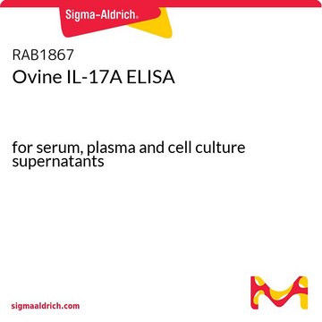 Ovine IL-17A ELISA for serum, plasma and cell culture supernatants