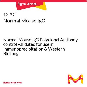 Normales Maus-IgG Normal Mouse IgG Polyclonal Antibody control validated for use in Immunoprecipitation &amp; Western Blotting.