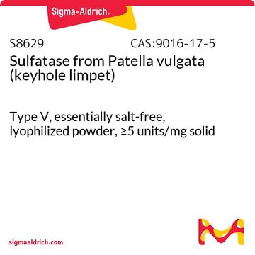 Sulfatase from Patella vulgata (keyhole limpet) Type V, essentially salt-free, lyophilized powder, &#8805;5&#160;units/mg solid