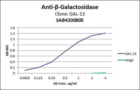 Anti-&#946;-Galactosidase antibody, Mouse monoclonal clone GAL-13, purified from hybridoma cell culture