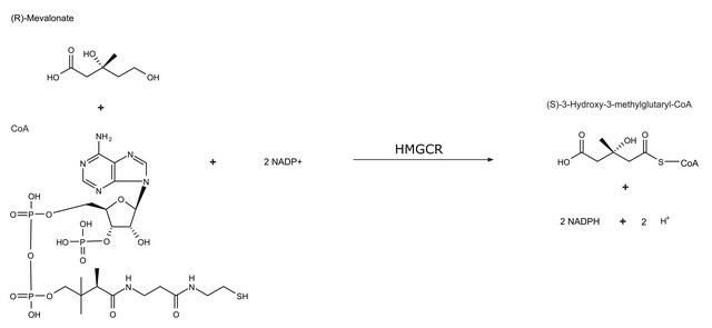 3-Hydroxy-3-methylglutaryl-CoA reductase solution