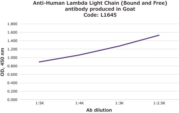 抗- 人 Lambda 轻链（结合和游离） 山羊抗 affinity isolated antibody, buffered aqueous solution