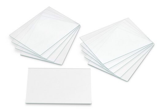 mPAGE&#174; Mini Short Plates,10pk for use with mPAGE&#174; Gel Caster