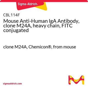 Maus-Anti-Human-IgA-Antikörper, Klon&nbsp;M24A, schwere Kette, FITC-konjugiert clone M24A, Chemicon&#174;, from mouse