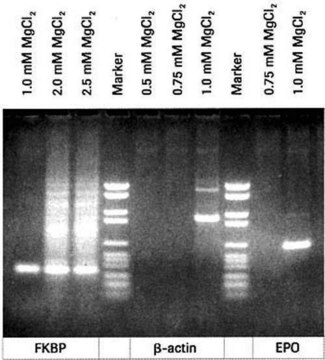 MgCl2非含有PCRバッファー、10倍濃縮 solution, pkg of 3 × 1&#160;mL