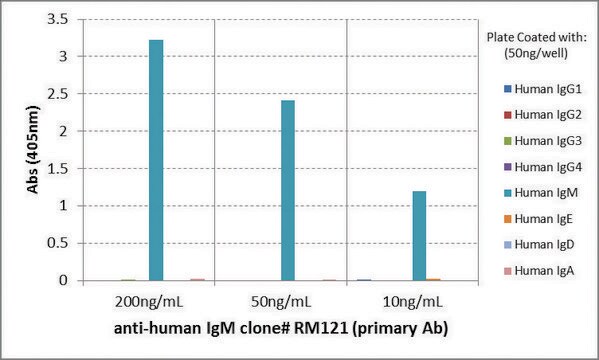 Anti-Human IgM-Biotin antibody, Rabbit monoclonal recombinant, expressed in HEK 293 cells, clone RM121, purified immunoglobulin