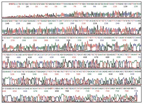 SigmaSpin&#8482; Sequencing Reaction Clean-Up post-reaction clean-up columns