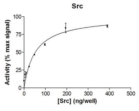 Białko Src, 10 µg Full length, recombinant human Src. N-terminal c-Myc, 6His-tagged. For use in Enzyme Assays. Functions as a substrate in ubiquitination assays.