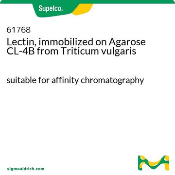 Lectin, immobilisiert auf Agarose CL-4B aus Triticum vulgaris suitable for affinity chromatography