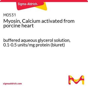 ミオシン, カルシウム活性化 ブタ心臓由来 buffered aqueous glycerol solution, 0.1-0.5&#160;units/mg protein (biuret)