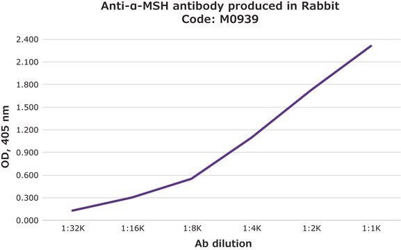 抗-&#945;-MSH 兔抗 IgG fraction of antiserum, buffered aqueous solution