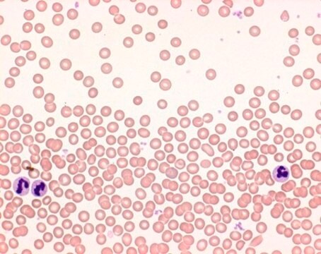 Colorazione rapida di strisci di sangue Hemacolor&#174; suitable for hematology, staining set for microscopy