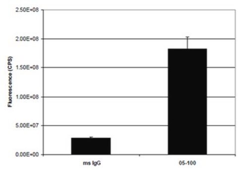 Anti-HDAC1-Antikörper, Klon 2E10 clone 2E10, Upstate&#174;, from mouse