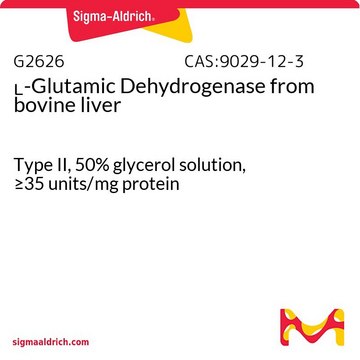 L-Glutamic Dehydrogenase from bovine liver Type II, 50% glycerol solution, &#8805;35&#160;units/mg protein