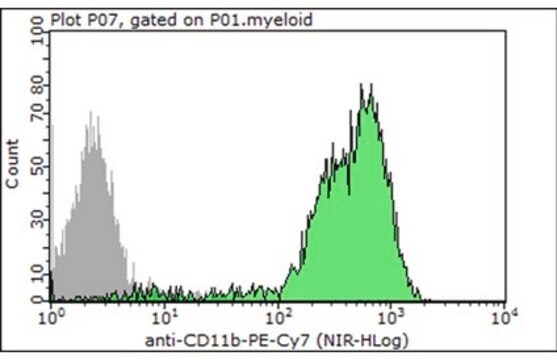 Anti-CD11b Antibody (human/mouse), PE-Cy7, clone M1/70 clone M1/70, 0.2&#160;mg/mL, from rat