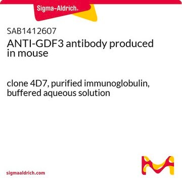 ANTI-GDF3 antibody produced in mouse clone 4D7, purified immunoglobulin, buffered aqueous solution