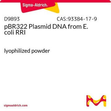 pBR322质粒DNA 来源于大肠杆菌 RRI lyophilized powder