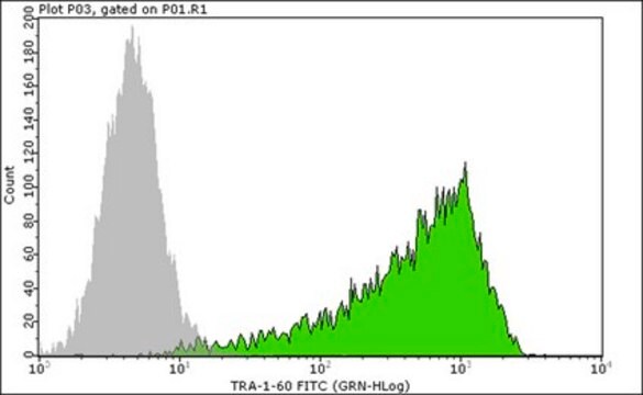 抗-TRA-1-60抗体，克隆TRA-1-60，FITC偶联物 clone TRA-1-60, from mouse, FITC conjugate