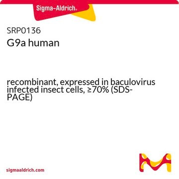 G9a human recombinant, expressed in baculovirus infected insect cells, &#8805;70% (SDS-PAGE)