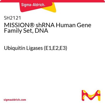 MISSION&#174; shRNAヒト遺伝子ファミリーセット、DNA Ubiquitin Ligases (E1,E2,E3)