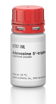 Adenosin 5&#8242;-triphosphat-Agarose lyophilized powder