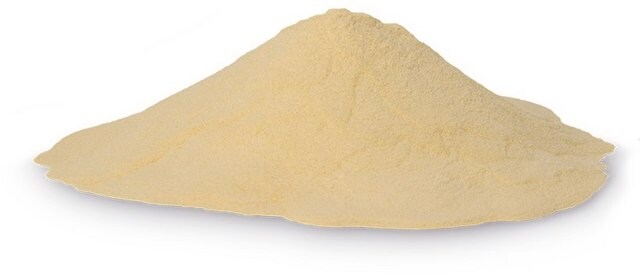 Pepton aus Casein for biotechnology Fermtech&#174;