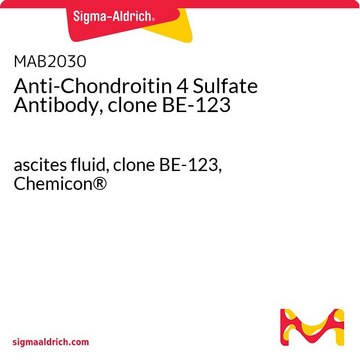 Anti-Chondroitin-4-Sulfat-Antikörper, Klon&nbsp;BE-123 ascites fluid, clone BE-123, Chemicon&#174;